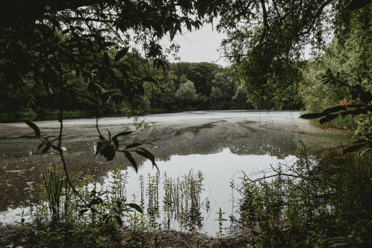 Boshuisje Rekem - Topo Lanaken Esterno foto